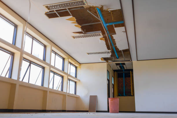 Reliable Bayou Blue, LA Water damage restoration Solutions