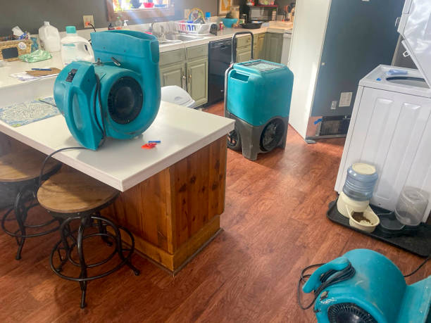 Best Local water damage restoration  in Bayou Blue, LA