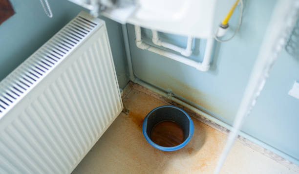 Best Basement water damage restoration  in Bayou Blue, LA