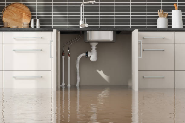 Water damage restoration mold remediation in Bayou Blue, LA