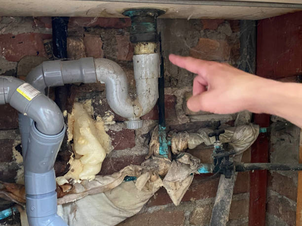 Best 24-hour water damage restoration  in Bayou Blue, LA